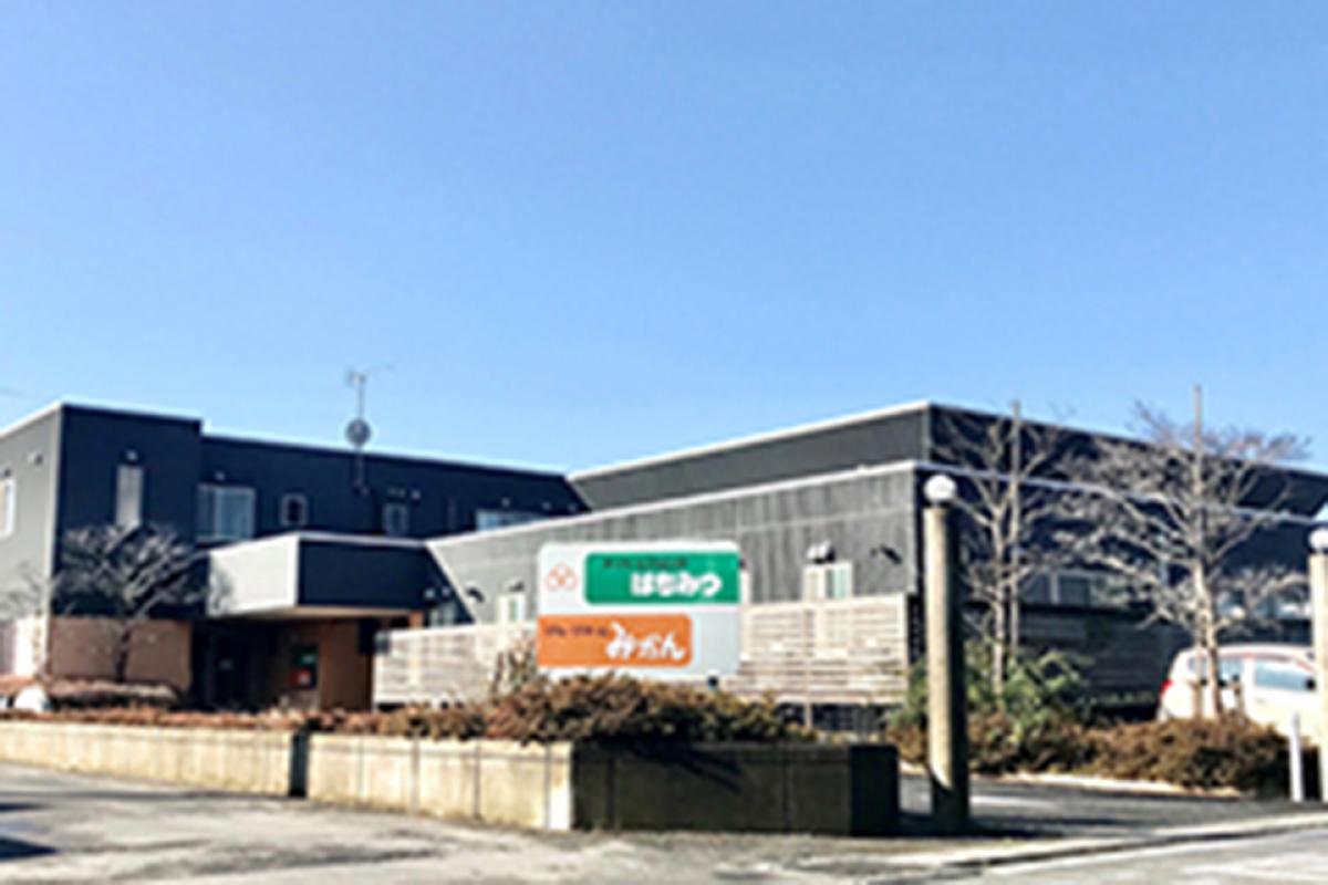 トゥルーケアGH みかん