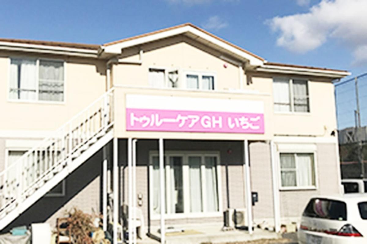 トゥルーケアGH いちご