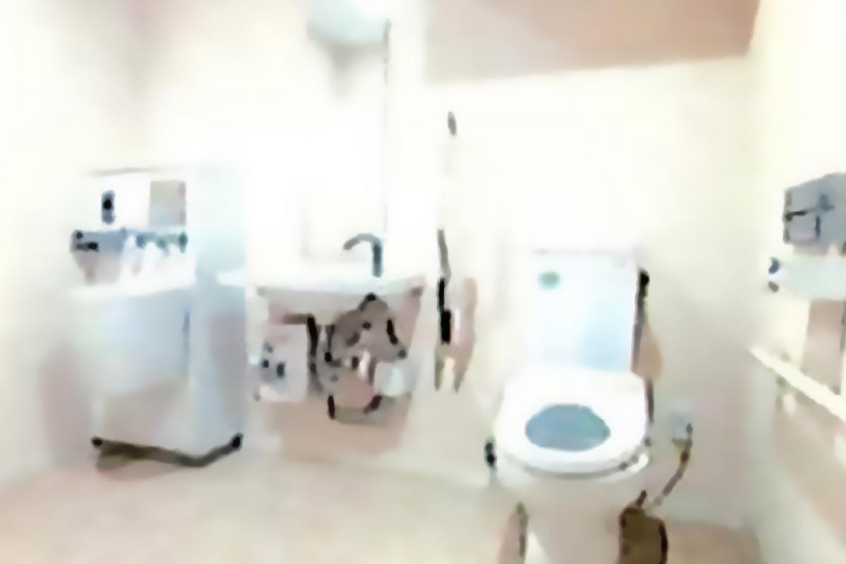 リブウェル足立入谷