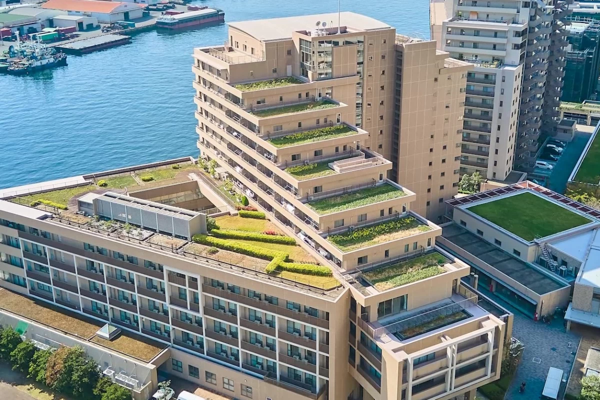 エレガーノ摩耶