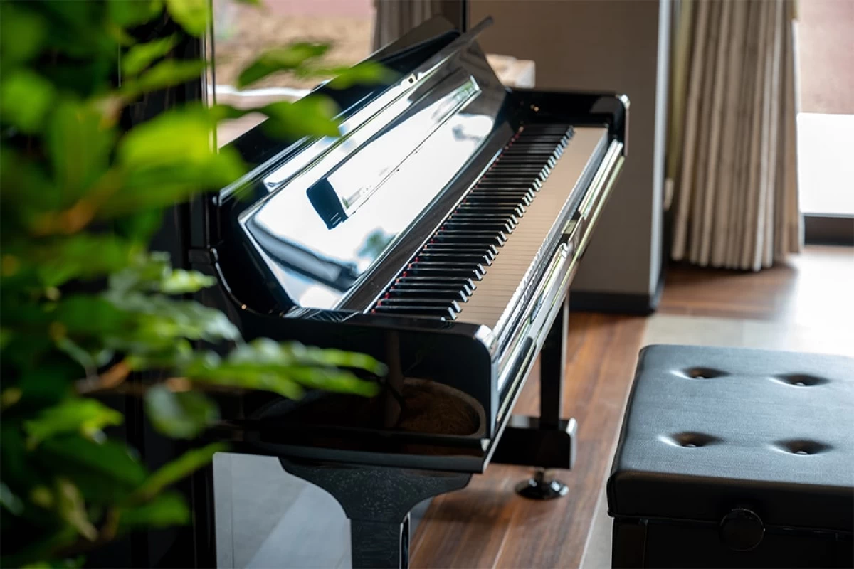 アクティビティ