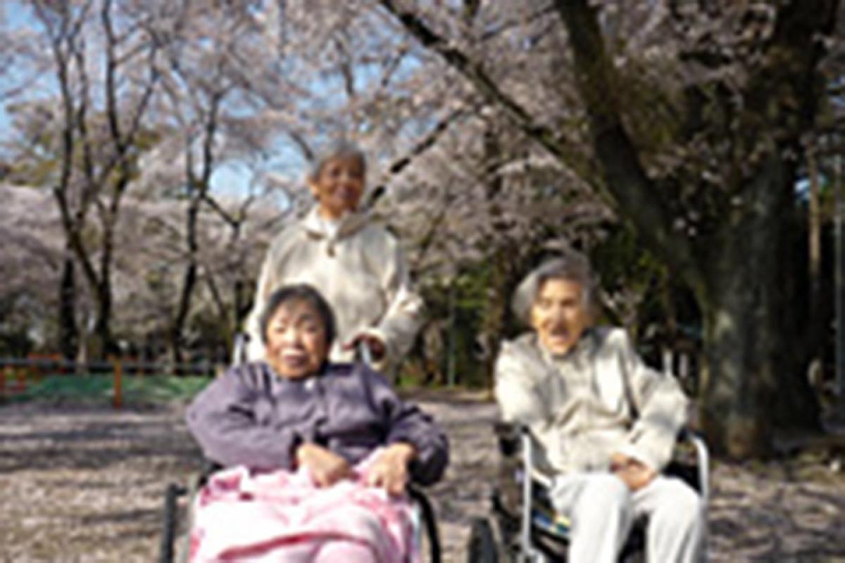 福寿よこはま緑