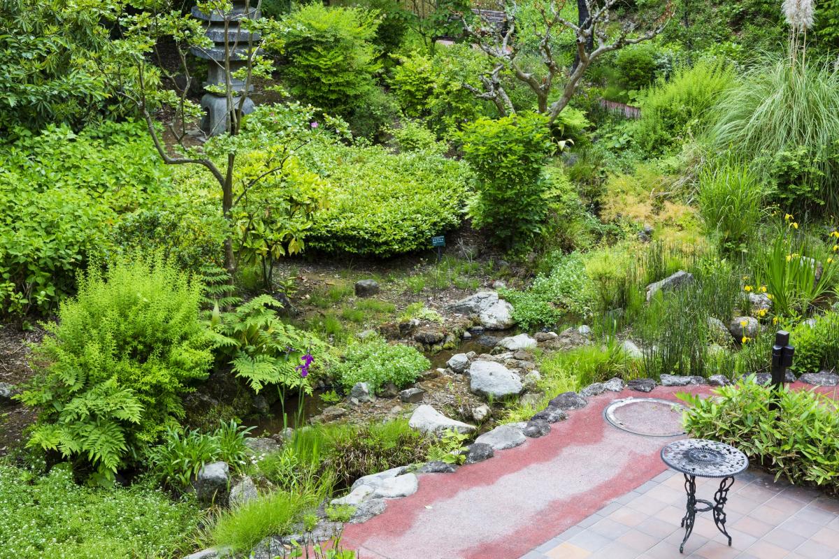 ヒルデモアこどもの国