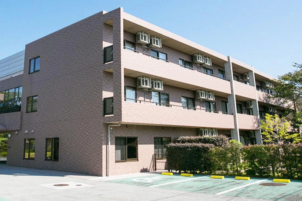 もみの樹・杉並