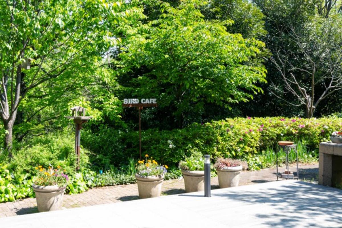 ブランシエール港北2