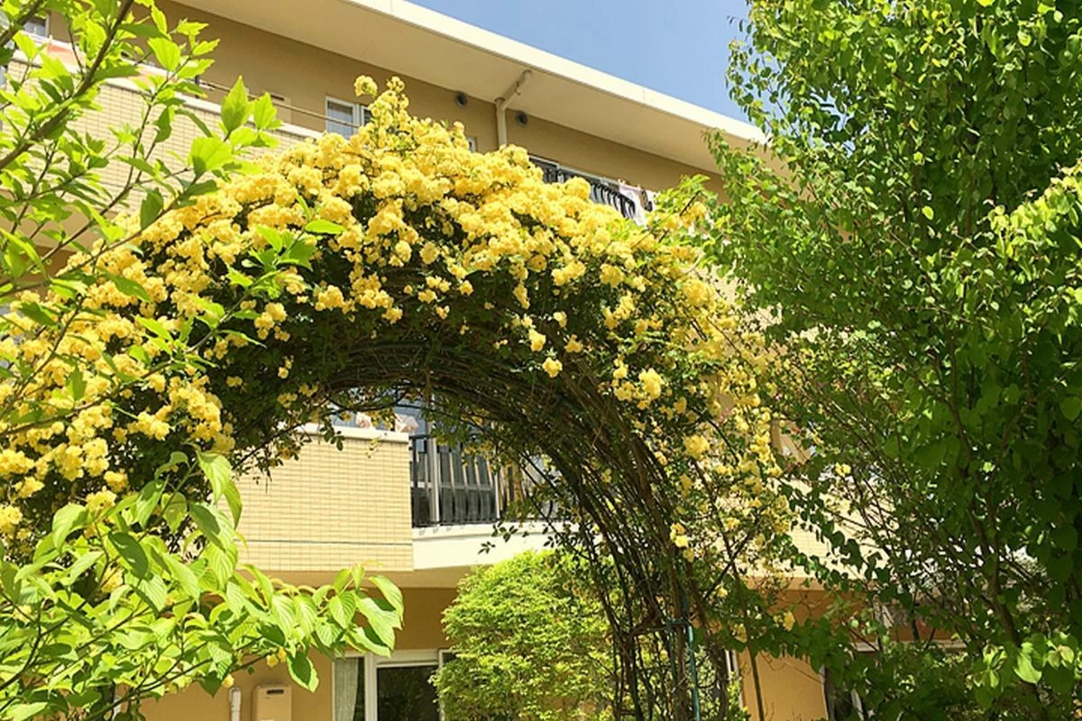 自然であふれた恵まれた環境。