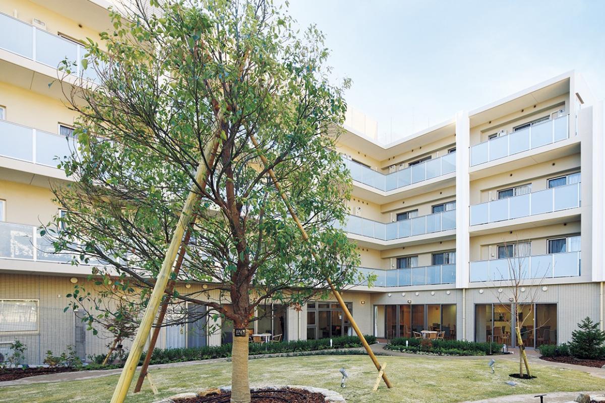 グランダ甲南山手