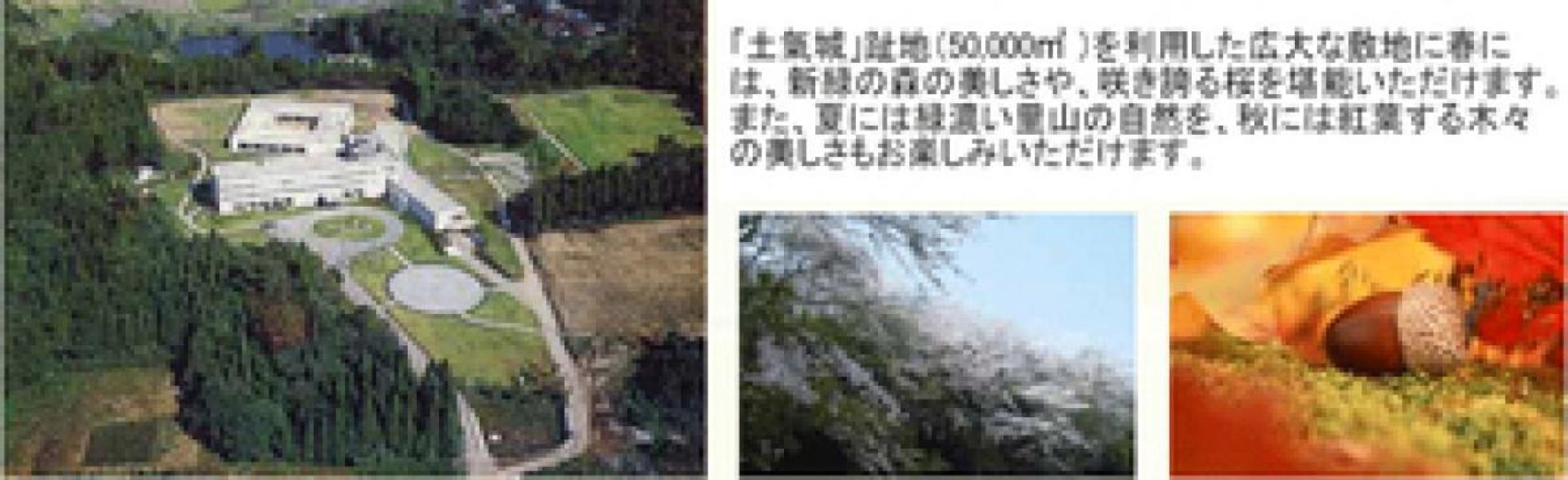 ひまわりの郷土気城址