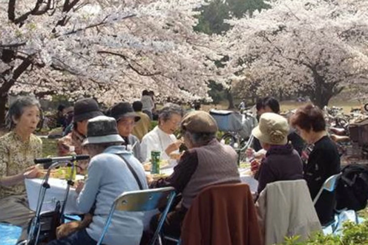 ヘーベルvillage上北沢