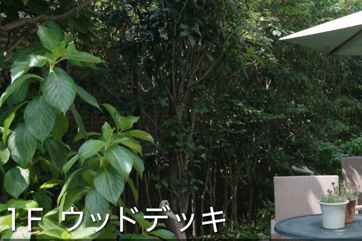 ウッドデッキ