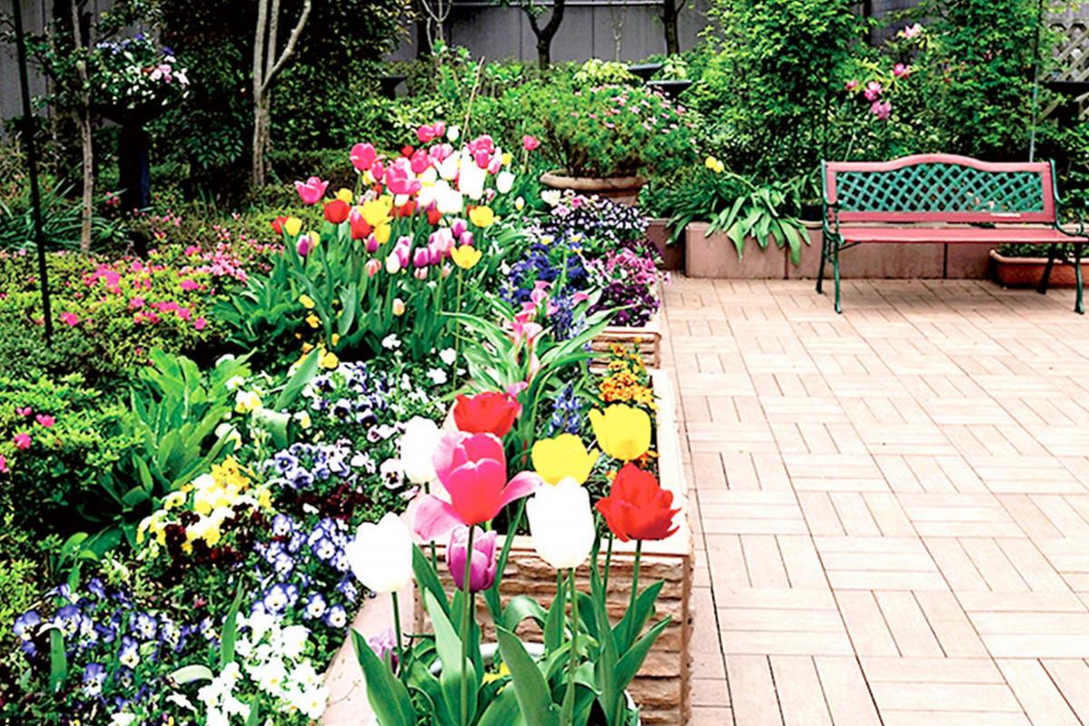 アライブ浜田山