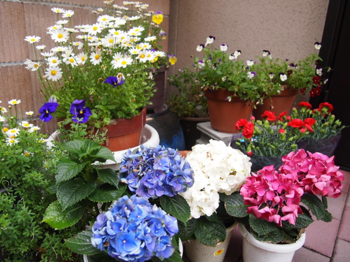 ハートケア明石