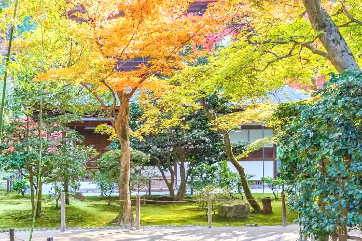 デュオセーヌ横濱二俣川