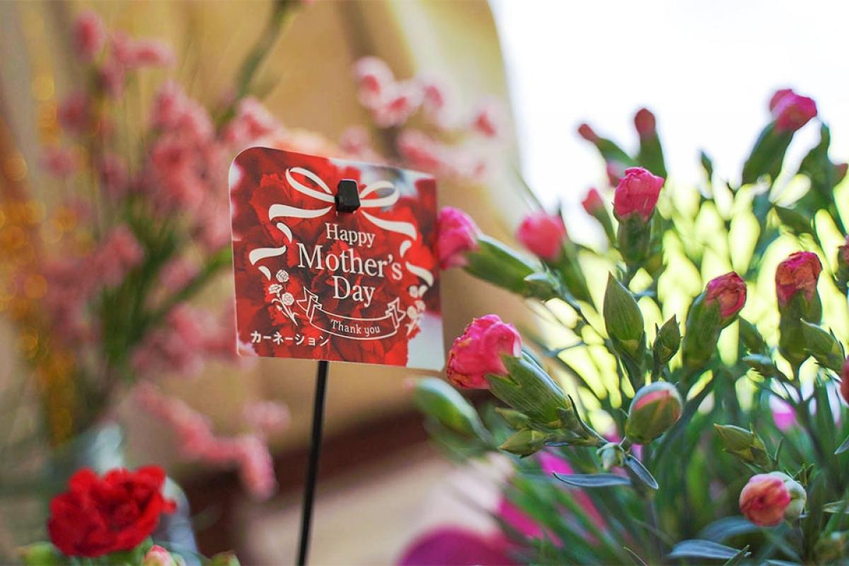 グループホームふれあい青崎東