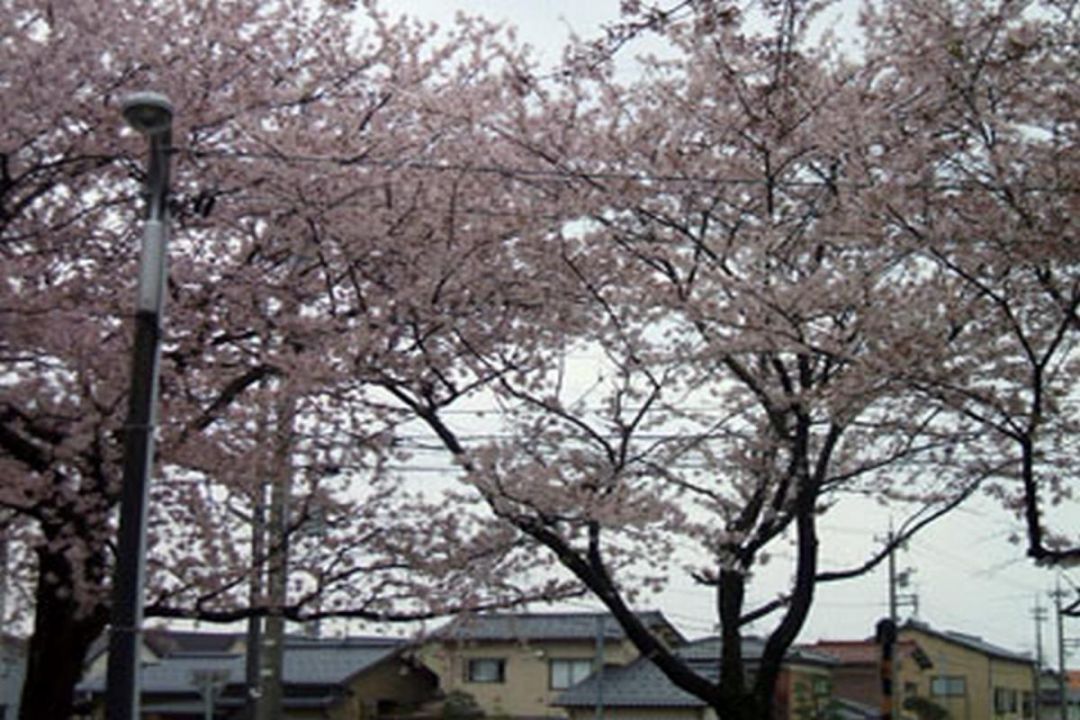 ベストライフ金沢