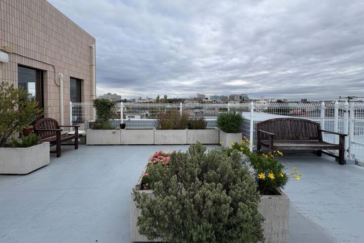 メディカルホームくらら調布