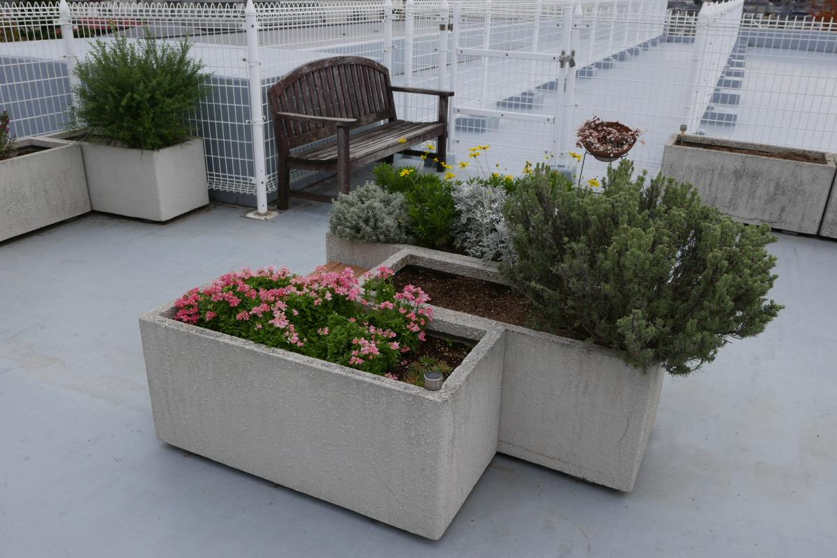 メディカルホームくらら調布