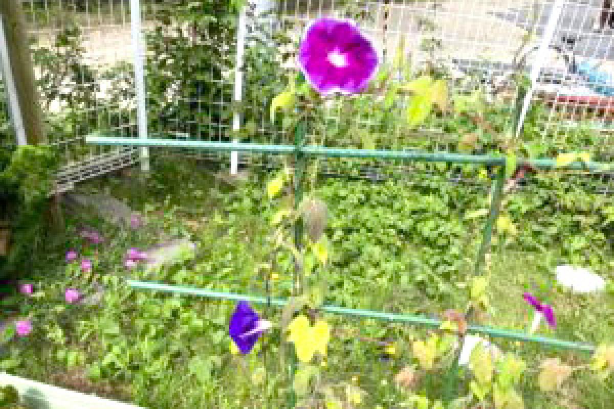 愛の家グループホーム秋田外旭川
