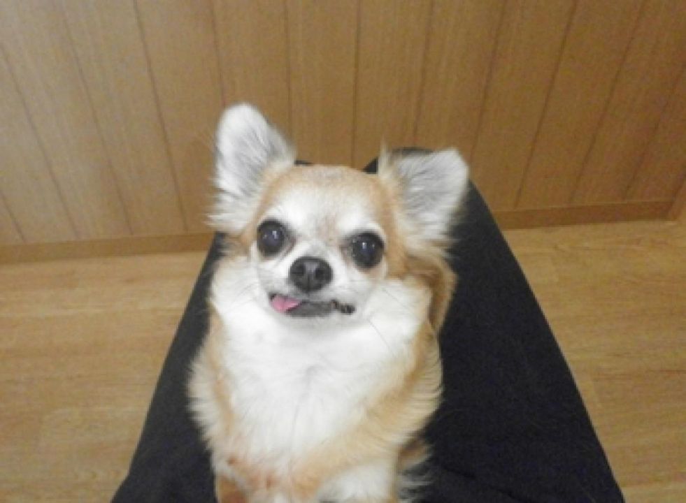 あすか