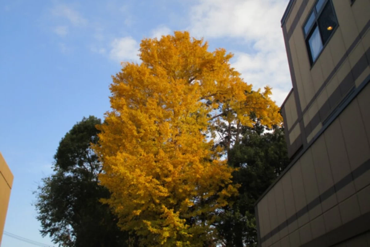 アクセスが良く恵まれた立地が魅力