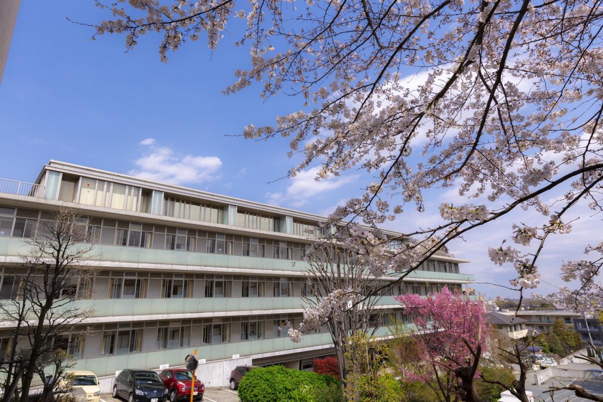 「やりたい」「できる」を引き出す支援